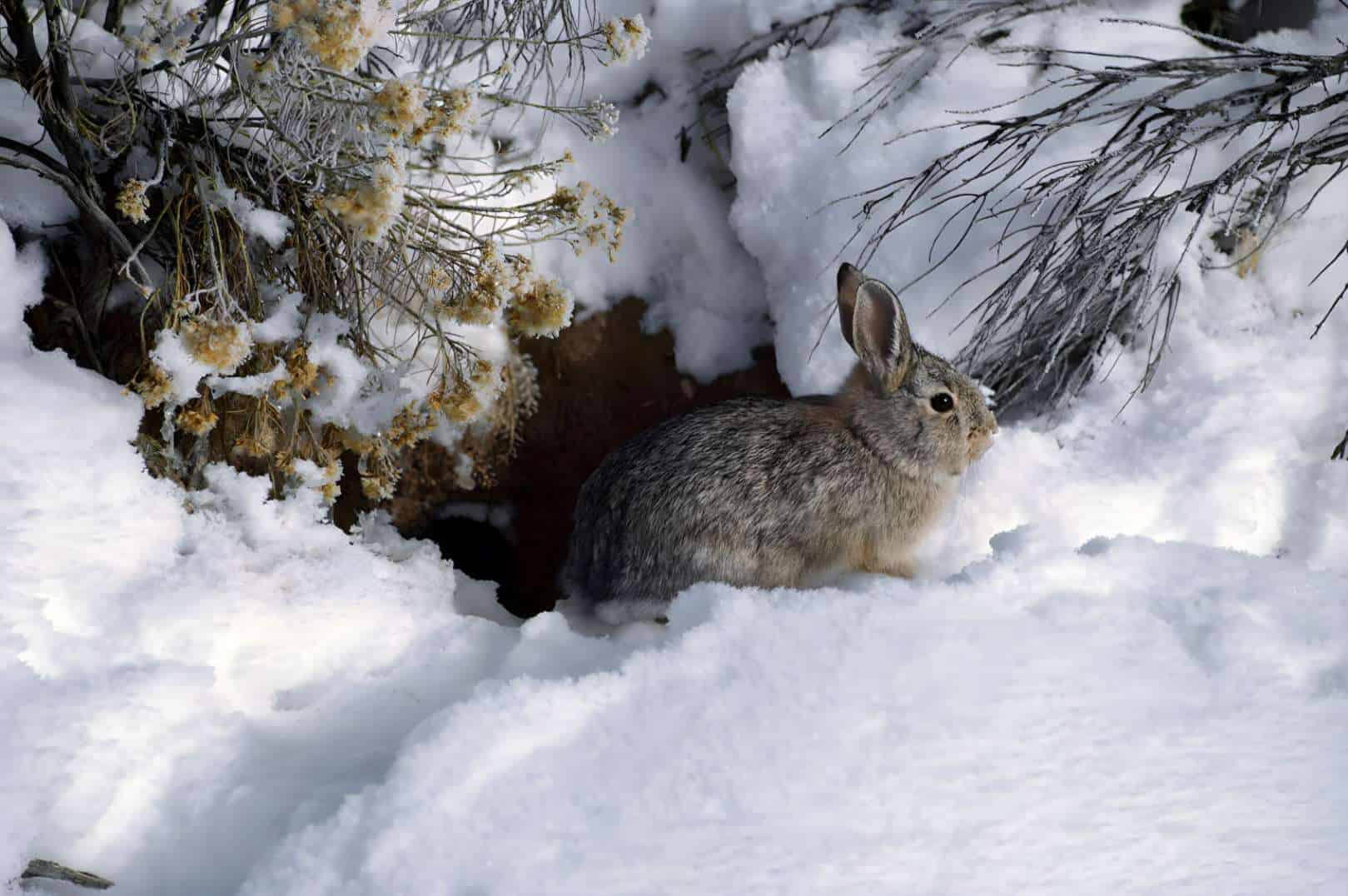 A Good Shelter