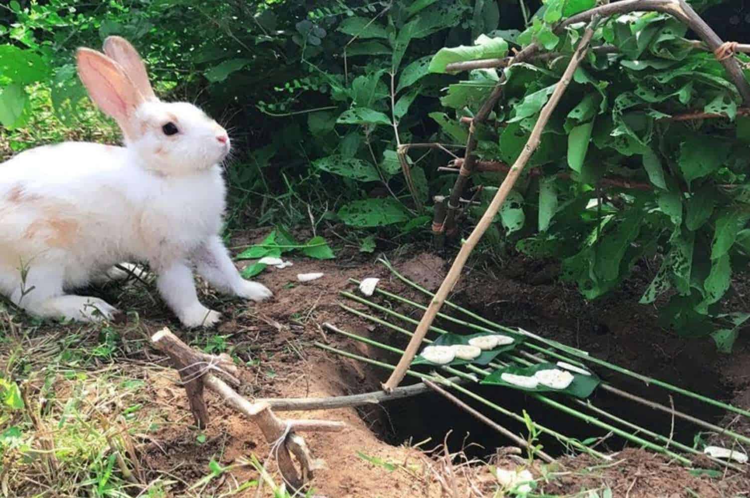 Digging a Pit Trap