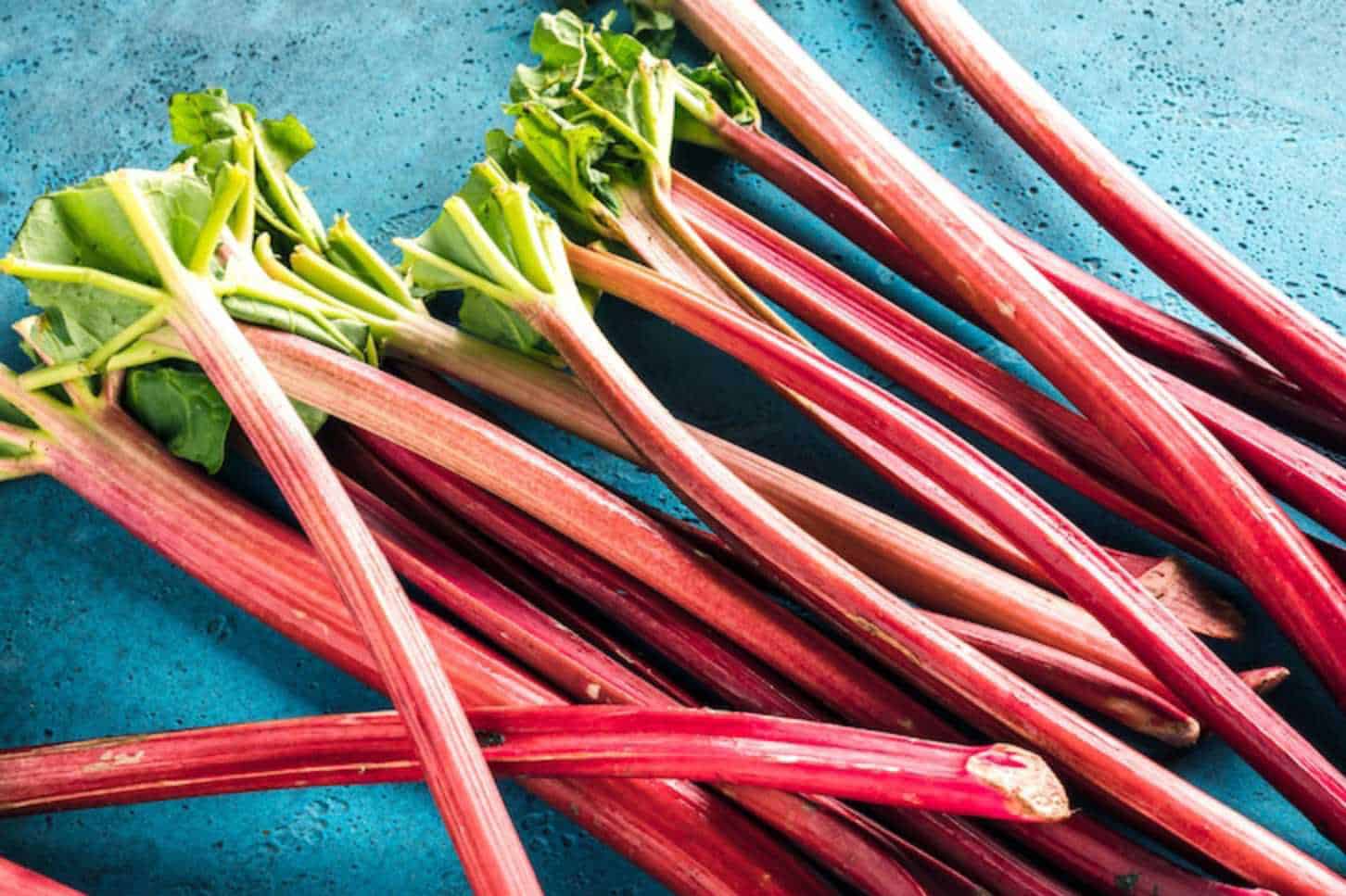 can rabbits eat Rhubarb