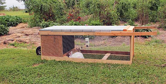 diy rabbit cage