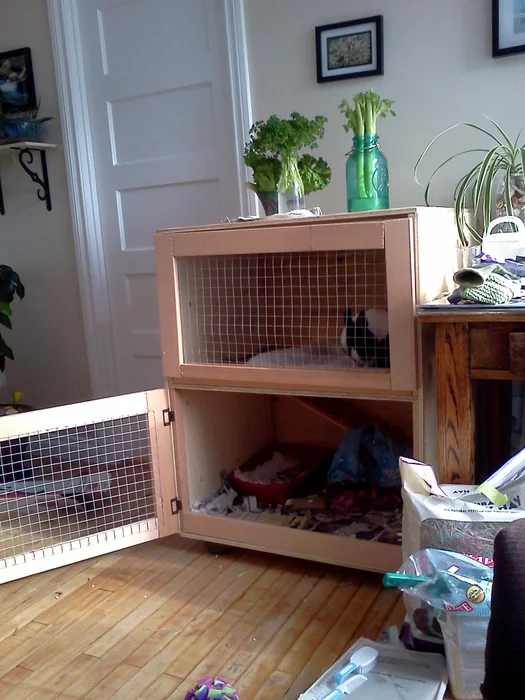 diy rabbit hutch plans free