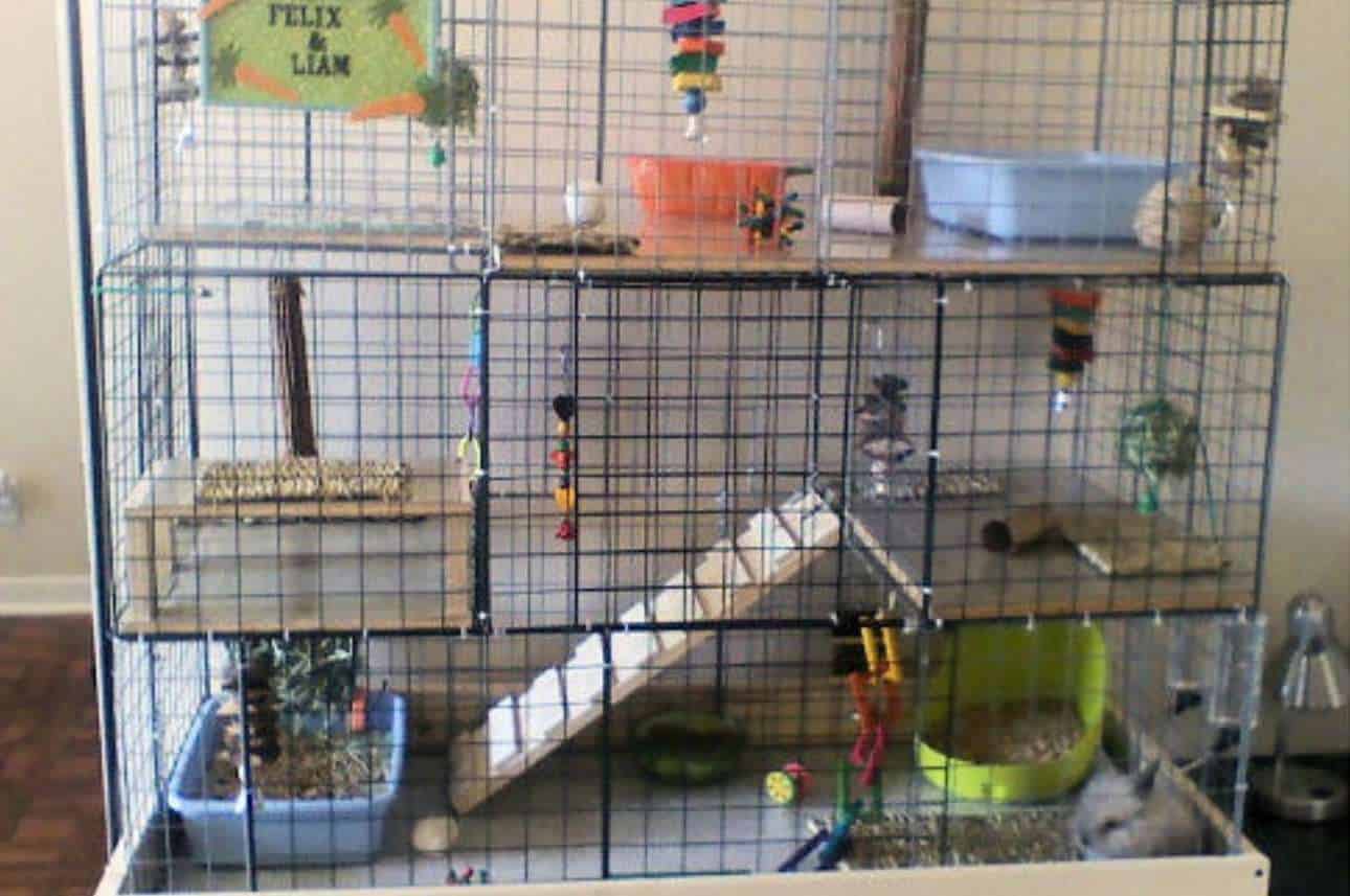 diy rabbit playpen