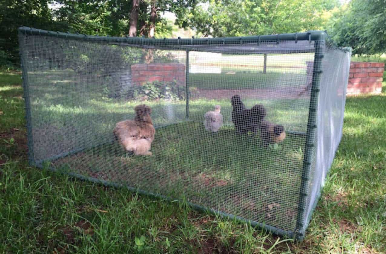 diy small animal playpen