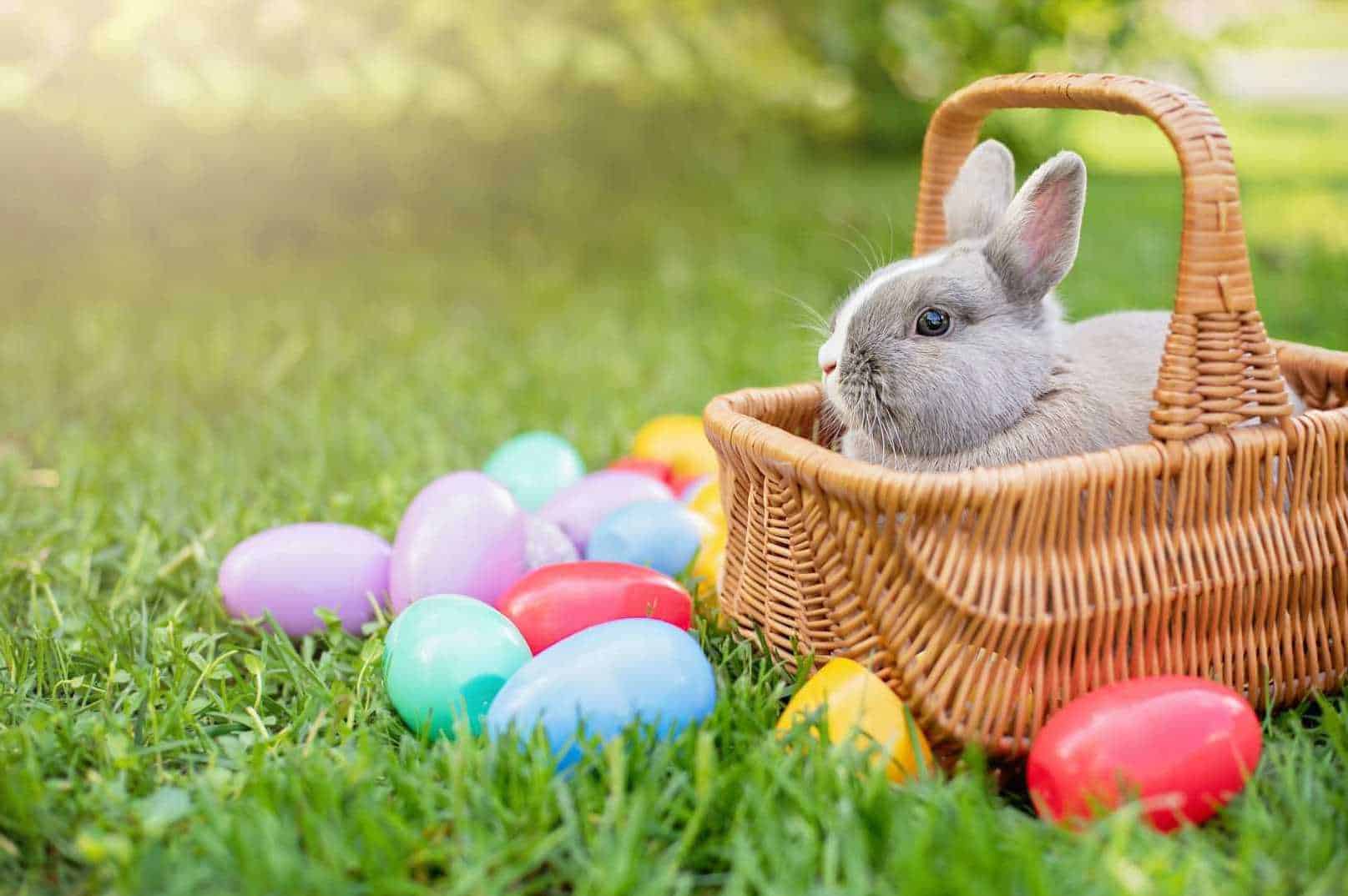 easter bunny history