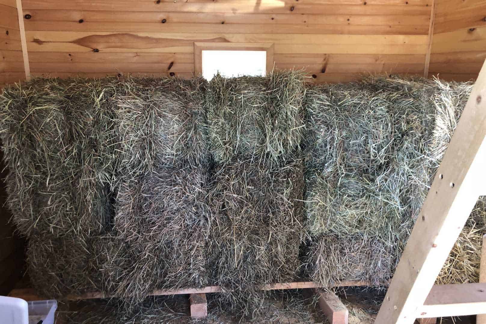 hay storage container for rabbits