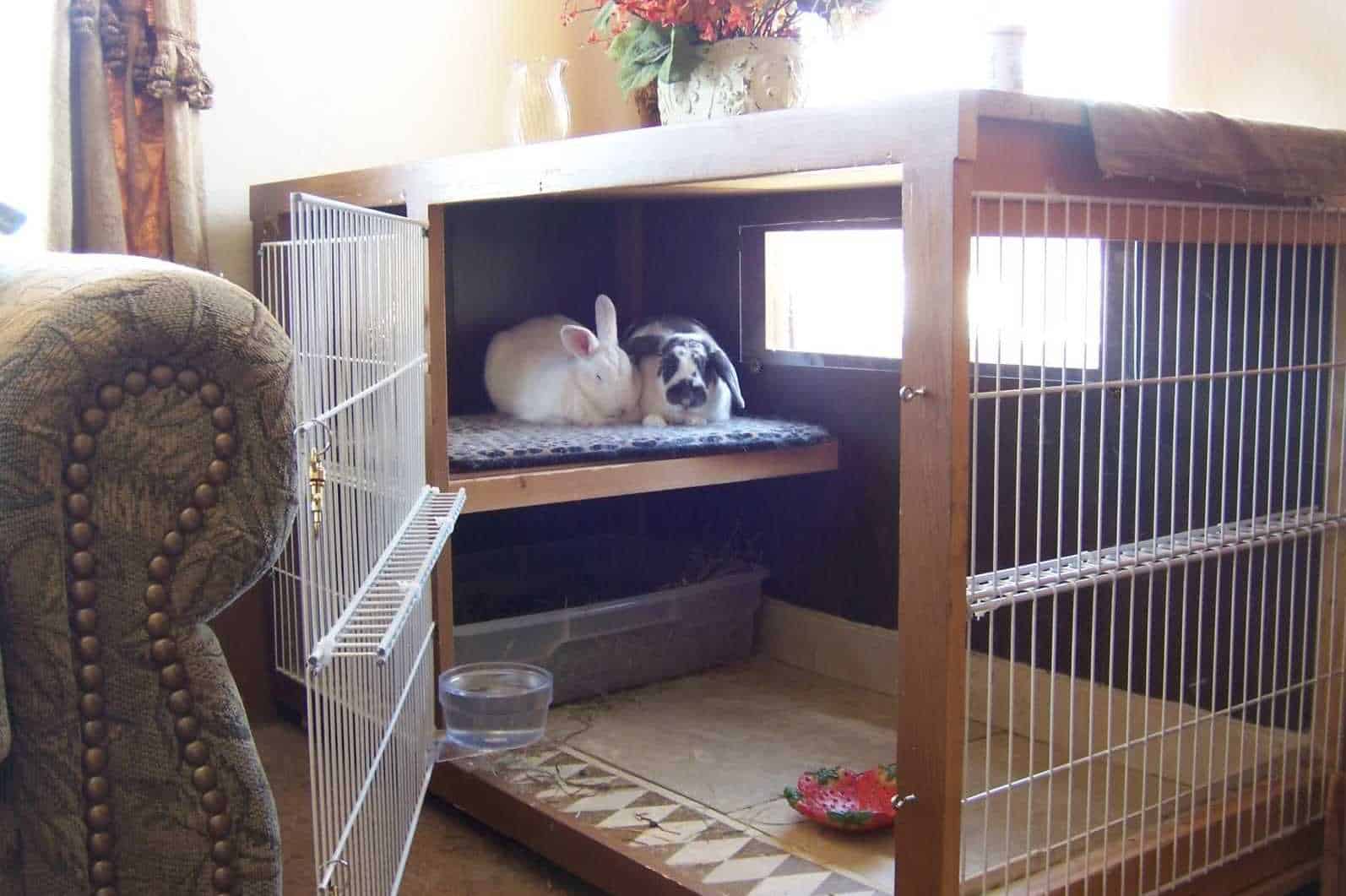 how often should you clean a rabbit cage