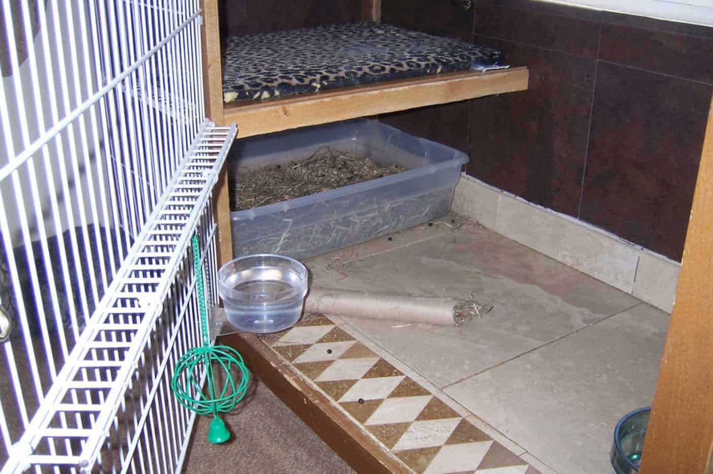 how to clean a rabbit cage