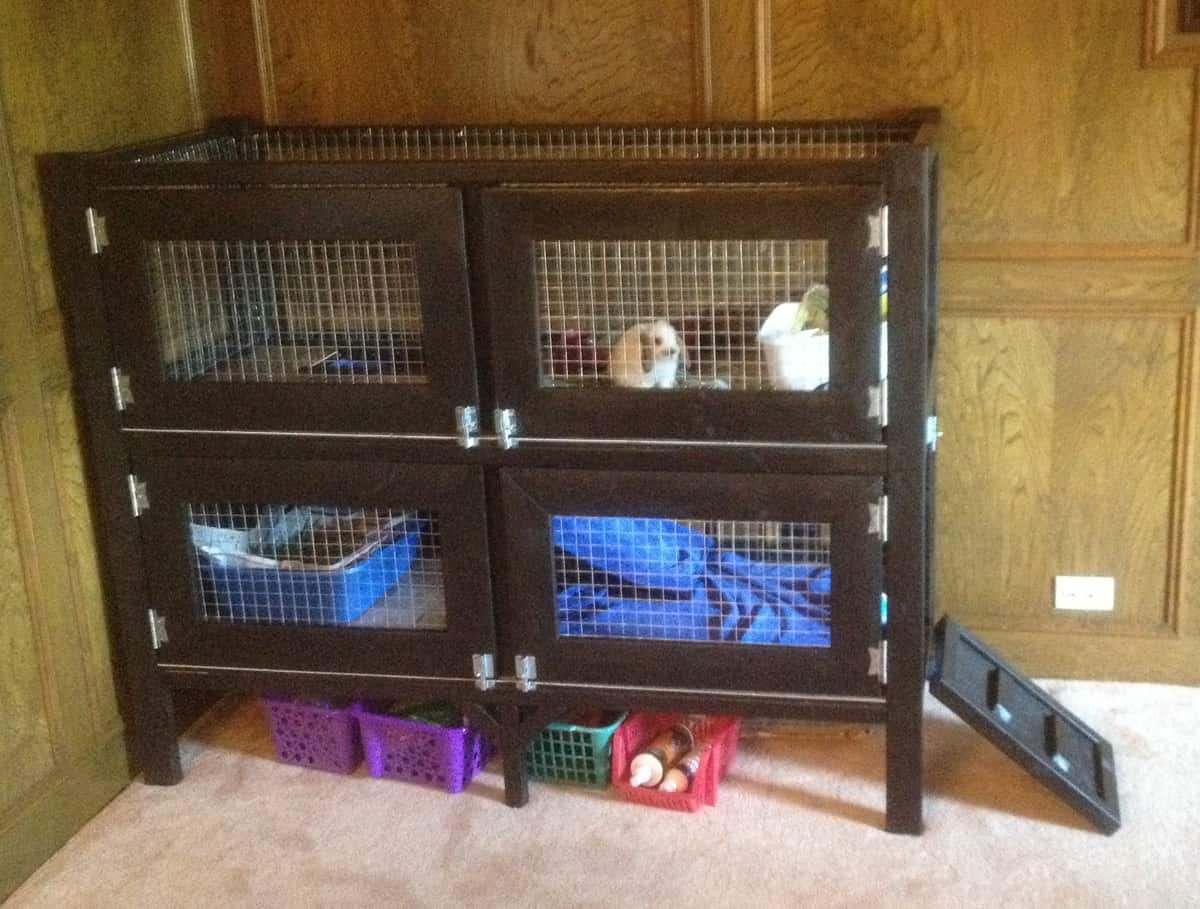 indoor rabbit hutch plans