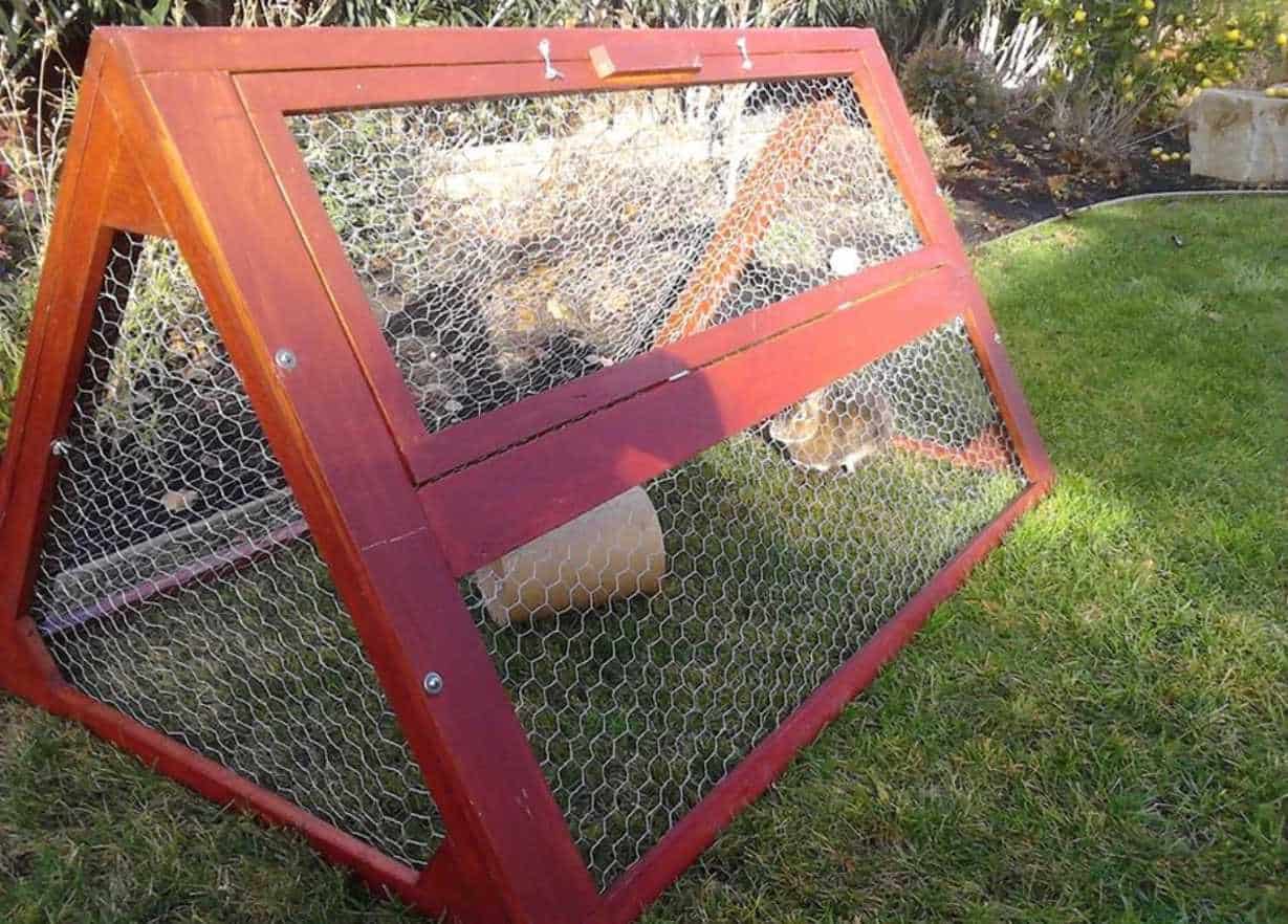 indoor rabbit hutch plans