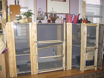 outdoor rabbit hutch plans