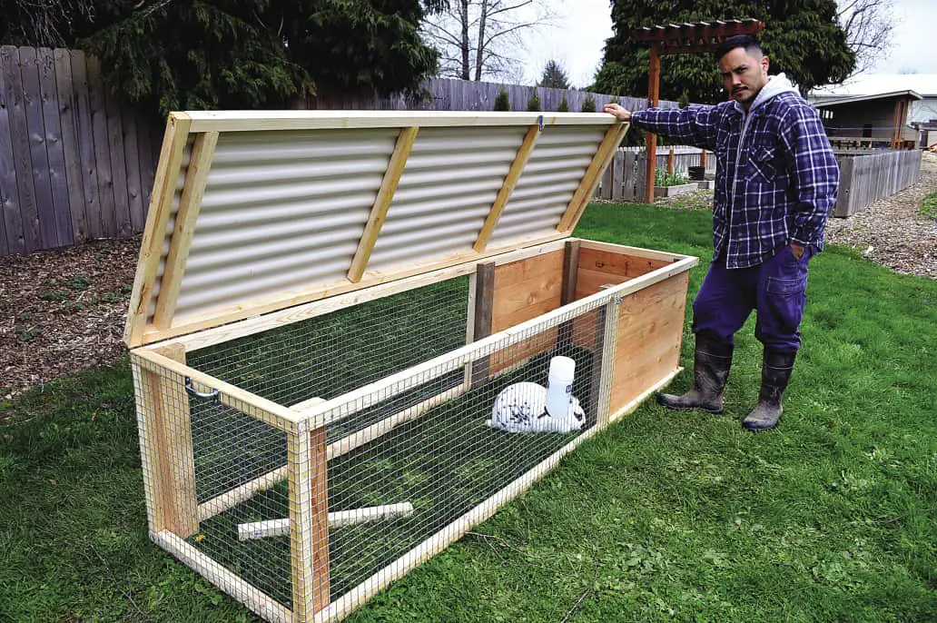 rabbit hutch plans