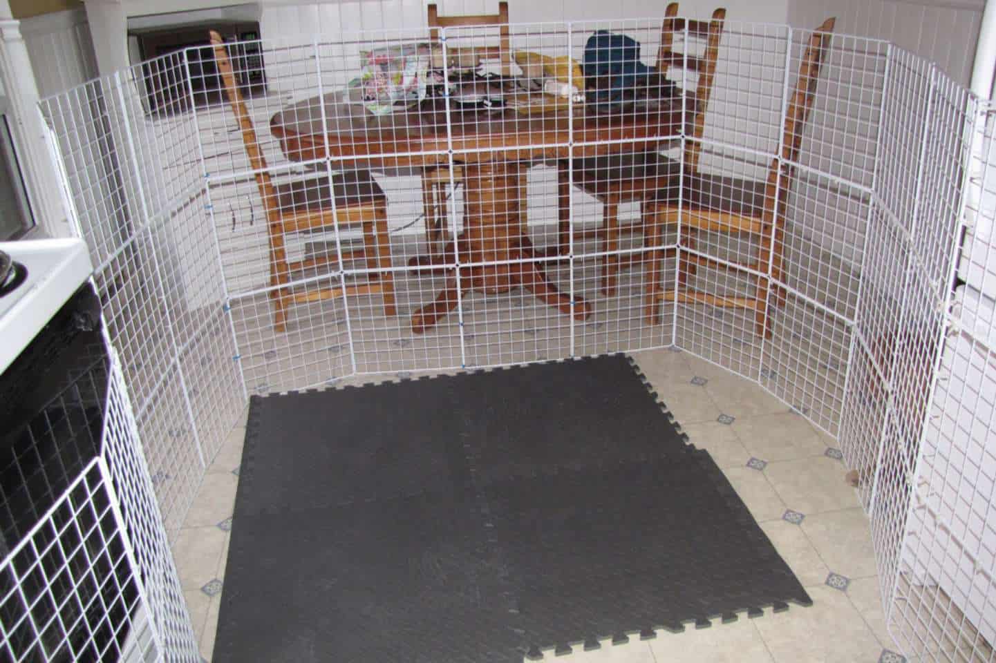 rabbit playpen ideas