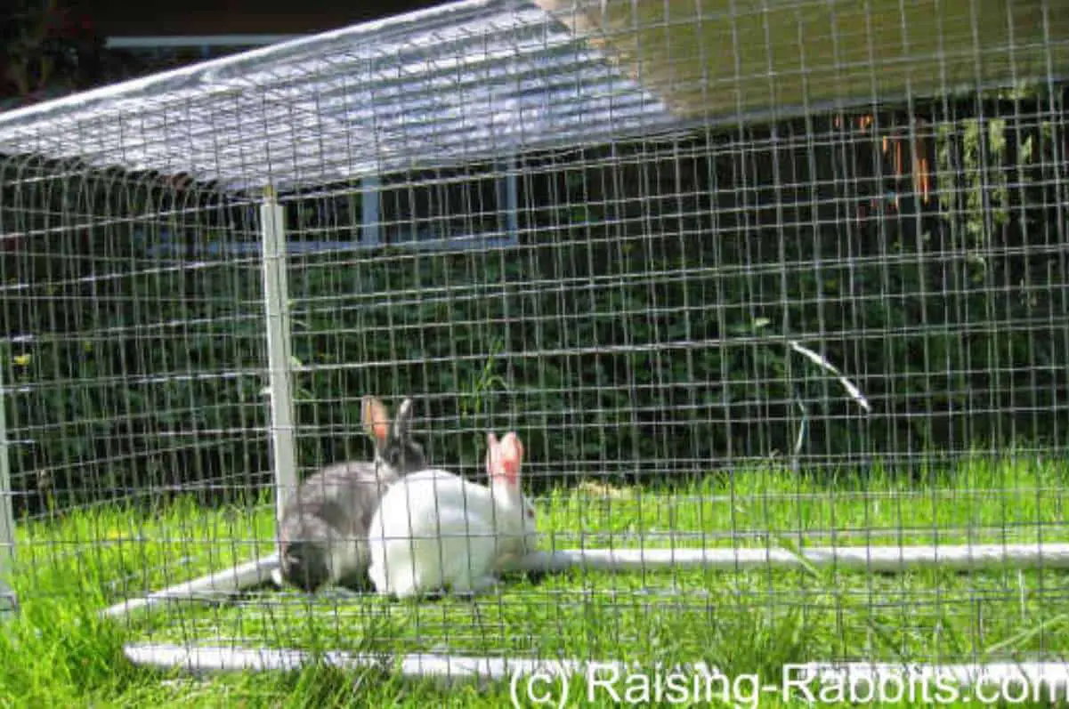 small animal playpen diy