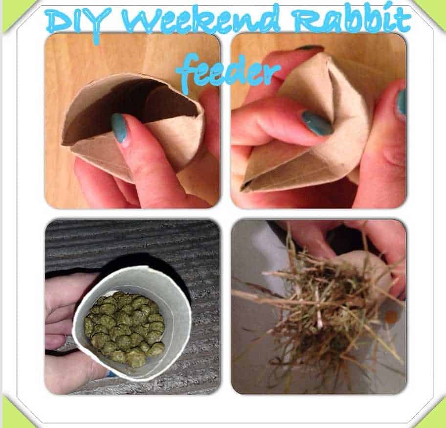 diy rabbit feeder