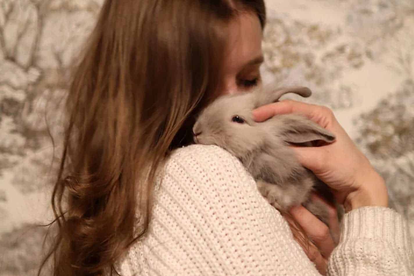 how to bond with your rabbit