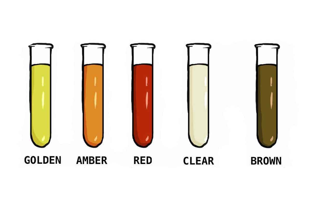 unhealthy rabbit urine