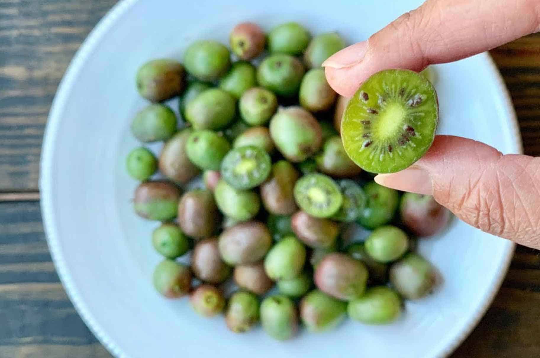 How to Properly Feed Kiwi to Rabbits